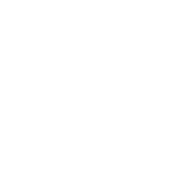 Sridhi Logo